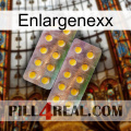 Enlargenexx new10